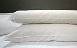 Two pillows to choose from